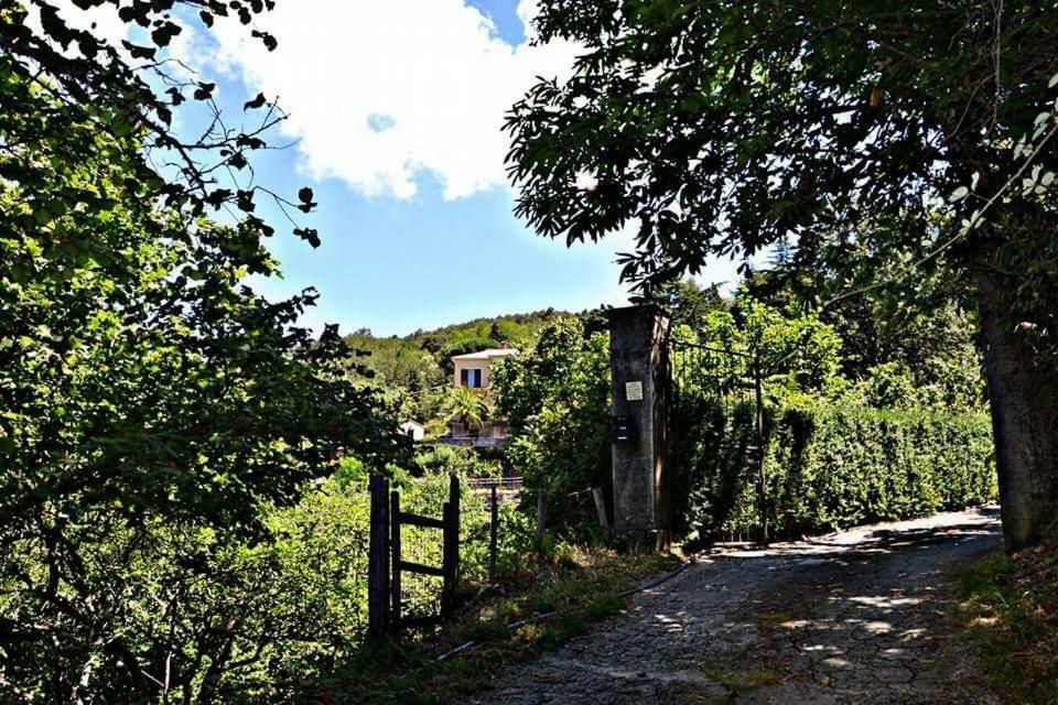 Valle Maira, Agriturismo Nel Parco Dei Nebrodi Villa Tortorici Exterior photo