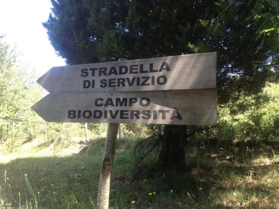 Valle Maira, Agriturismo Nel Parco Dei Nebrodi Villa Tortorici Exterior photo